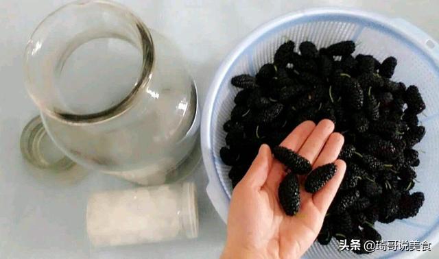 桑椹酒怎么泡制方法_桑椹酒泡制方法有毒_桑椹酒泡制方法和配方