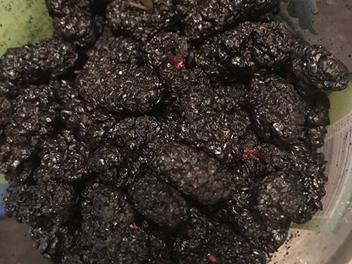 桑葚酒功效和最佳_桑葚酒的功效_桑葚酒作用和功效與作