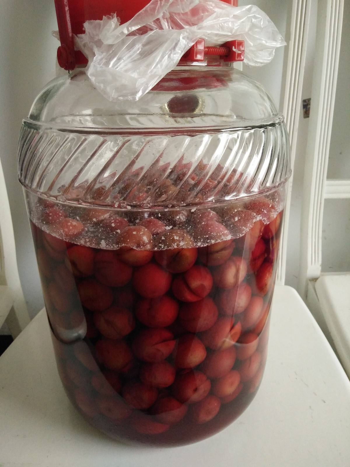 果酒的制作方法 自釀_果酒制作自釀方法視頻_果酒制作自釀方法有哪些