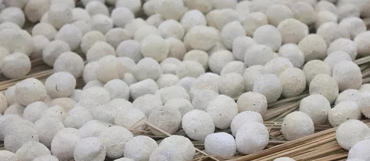 酒曲是什么東西_酒曲是什么東西做出來(lái)的_酒曲是什么味道