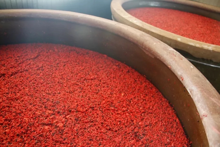 酒曲是什么東西做出來(lái)的_酒曲是什么味道_酒曲是什么東西