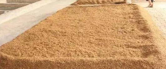 酒曲是什么東西_酒曲是什么味道_酒曲是什么東西做出來(lái)的