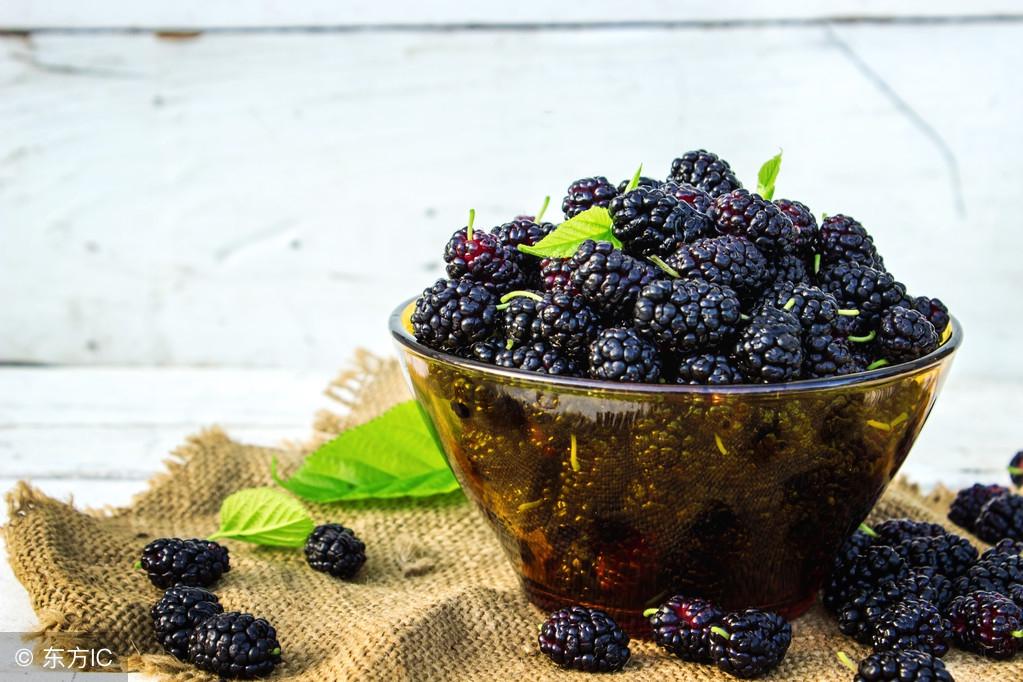 釀造桑葚酒正宗制作方法_純桑葚酒的釀制方法_釀制純桑葚酒方法有哪些