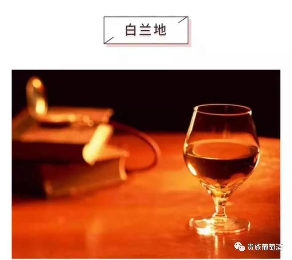 葡萄酒與白蘭地、威士忌等烈酒究竟有什么區(qū)