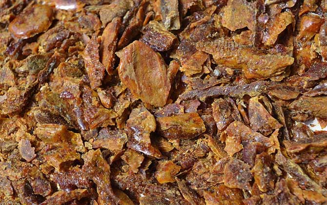 泡酒功效作用蜂膠怎么吃_泡酒功效作用蜂膠怎么用_蜂膠泡酒的功效與作用