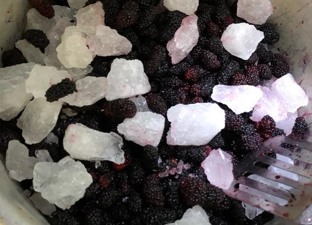 白酒泡干桑葚酒的做法竅門(mén)_白酒泡干桑葚怎么泡_一斤桑葚干泡多少白酒