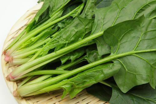 喝完能吃酒阿莫西林膠囊嗎_喝完酒阿莫西林可以吃嗎_喝完酒能吃阿莫西林嗎