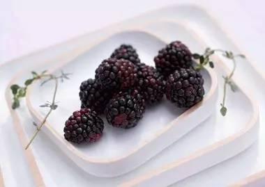 自釀藍(lán)莓酒的功效與作用_藍(lán)莓酒的做法 自釀_做法酒自釀藍(lán)莓好吃嗎