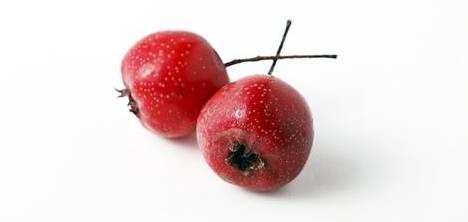 自釀藍(lán)莓酒的功效與作用_做法酒自釀藍(lán)莓好吃嗎_藍(lán)莓酒的做法 自釀