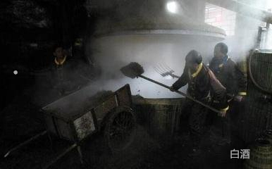 苦蕎酒營養(yǎng)價值_功效苦蕎作用酒有哪些_苦蕎酒的功效與作用