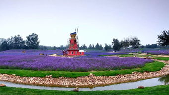 石家莊酒（河北十大名酒最新排行榜出爐！你知道哪款酒登頂了嗎？）