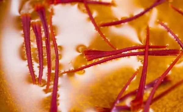 蛋酒的營(yíng)養(yǎng)價(jià)值_蛋酒的功效與禁忌_蛋酒的作用與功效