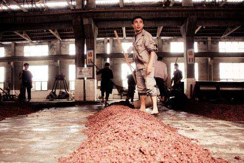 收藏醬香型白酒哪種好_值得收藏的醬香白酒_值得收藏的醬香型白酒