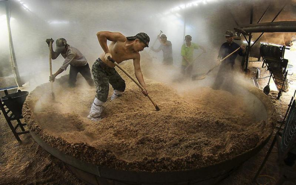東北白酒好喝嗎_東北白酒什么香型_東北喝什么香型白酒
